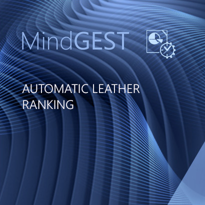 Automatic Leather Ranking